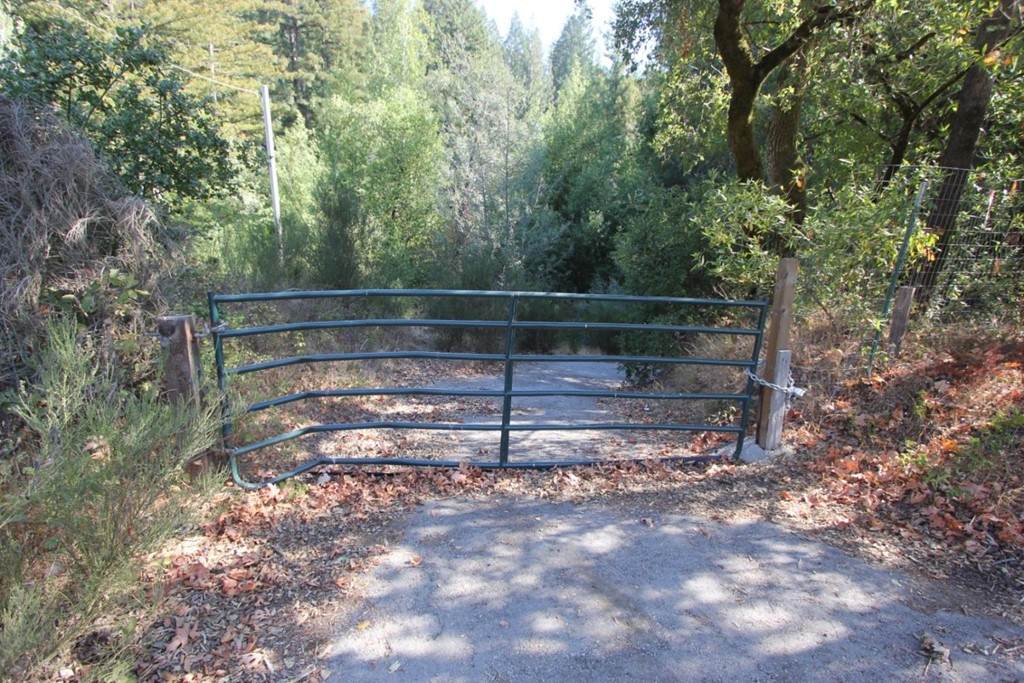 15350 Bear Creek Road - Photo 1