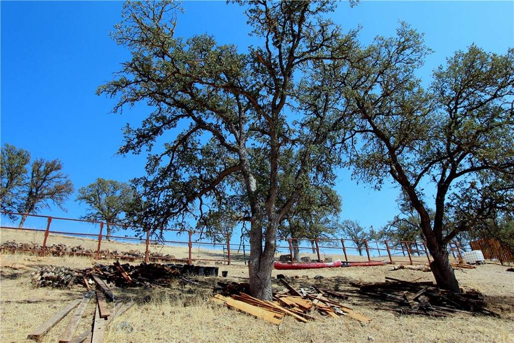 2469 Indian Hill Road - Photo 1