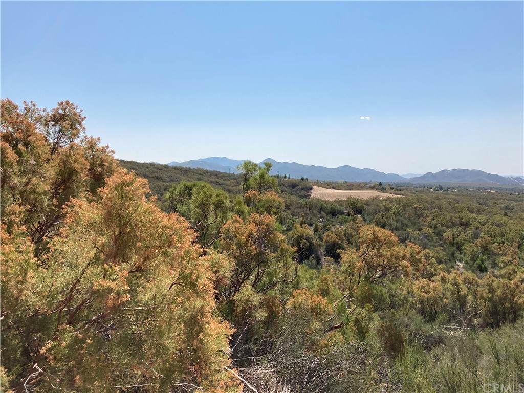 0 Chihuahua Valley Road - Photo 1