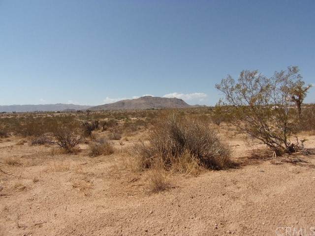 0 Sunny Sands Drive - Photo 1