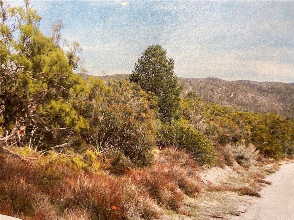 0 Burnt Valley Road - Photo 1