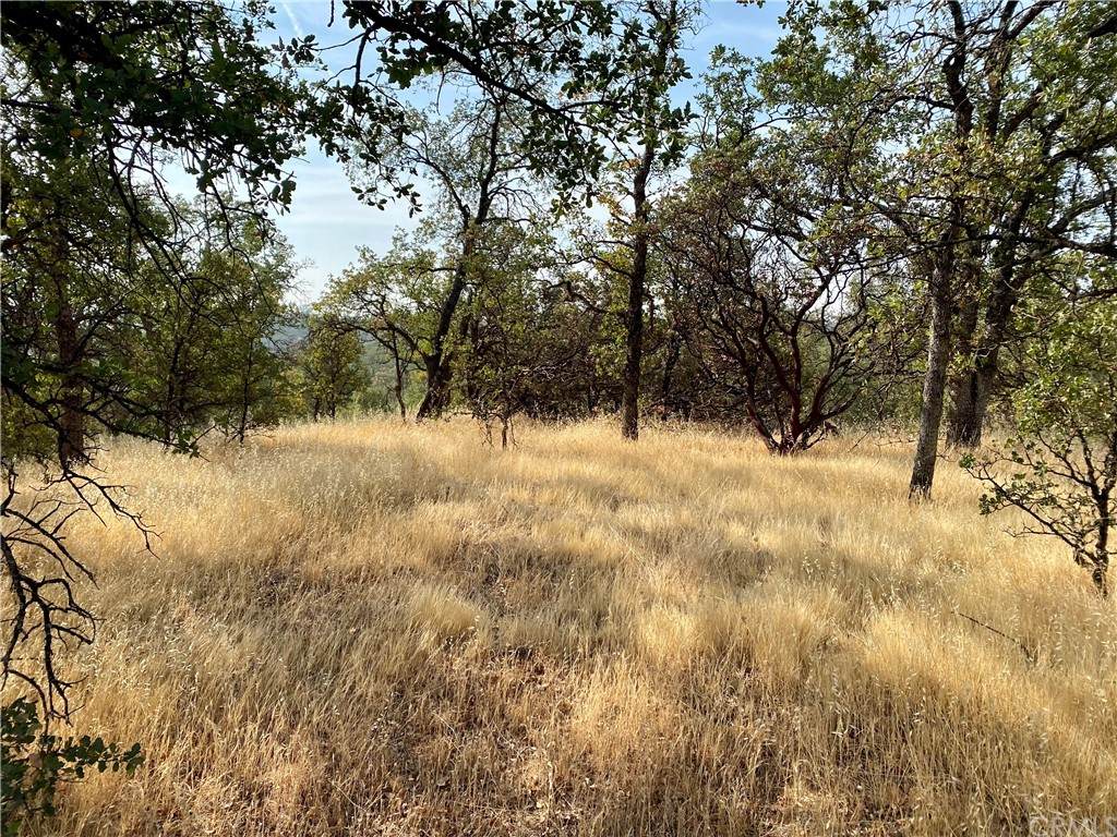 95 Quail Ridge Rd. - Photo 1