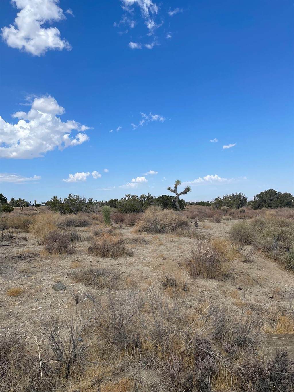 0 Silver Rock Road - Photo 1