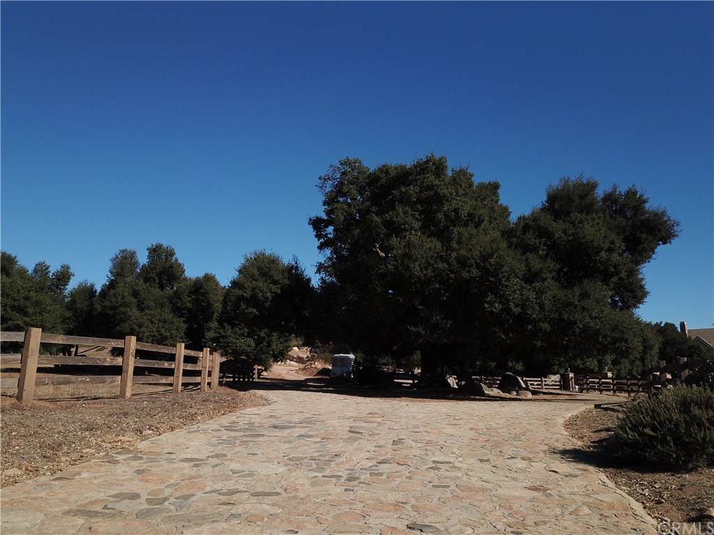 0 Los Palomas - Photo 1