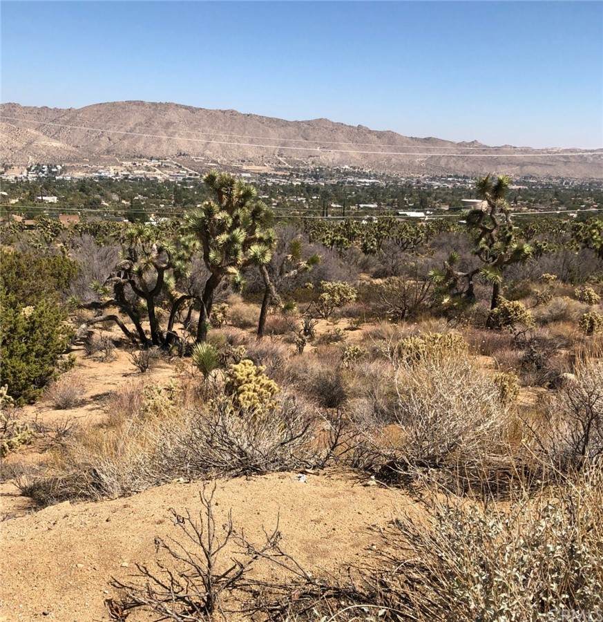 58552109 Desert Gold Dr - Photo 1