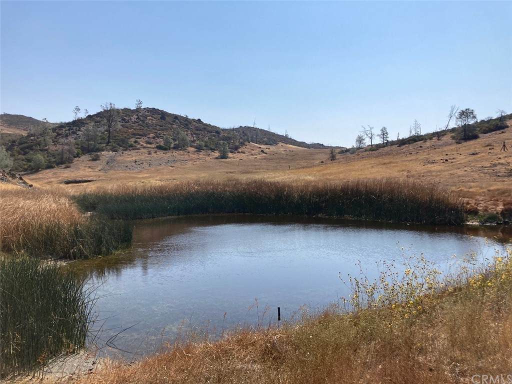 27102 Morgan Valley Road - Photo 1