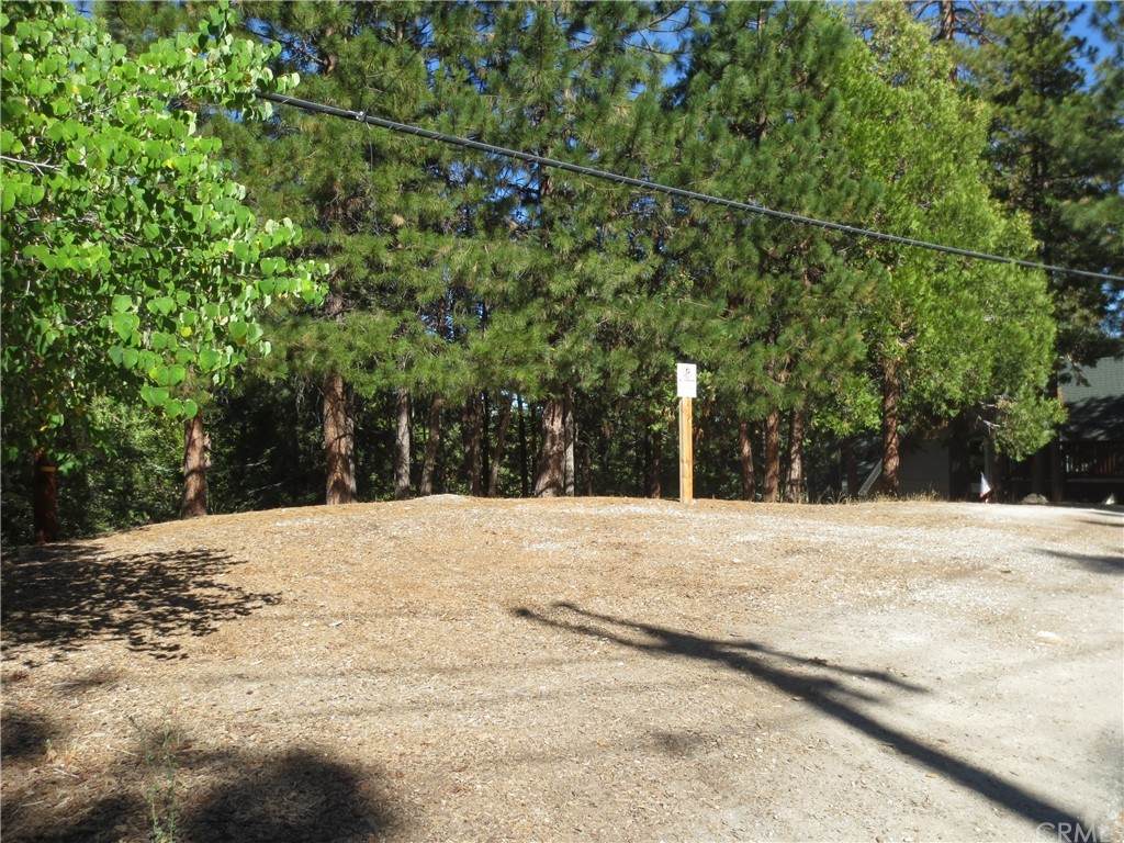 0 Old Toll Road - Photo 1