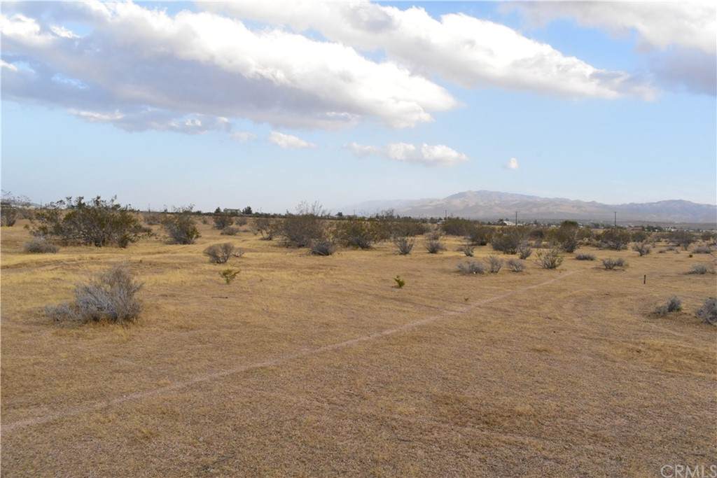 0 Bellflower - Photo 1