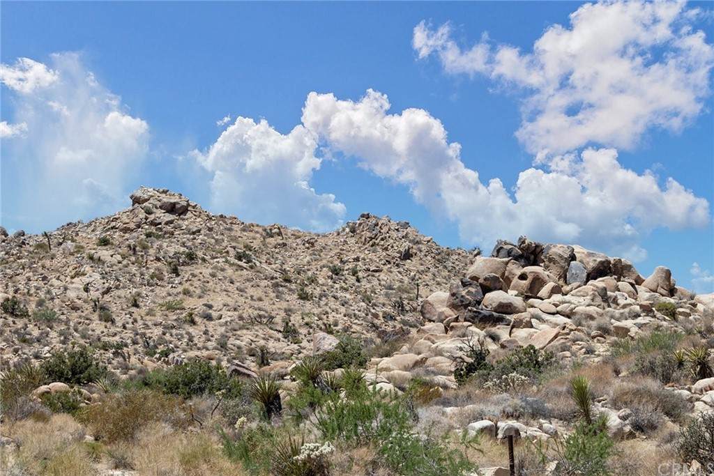 60300 Mountain Trail - Photo 1