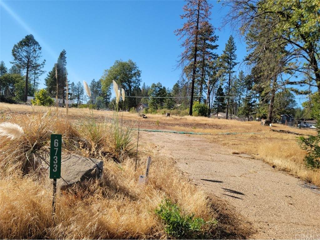 6733 Clark Road - Photo 1