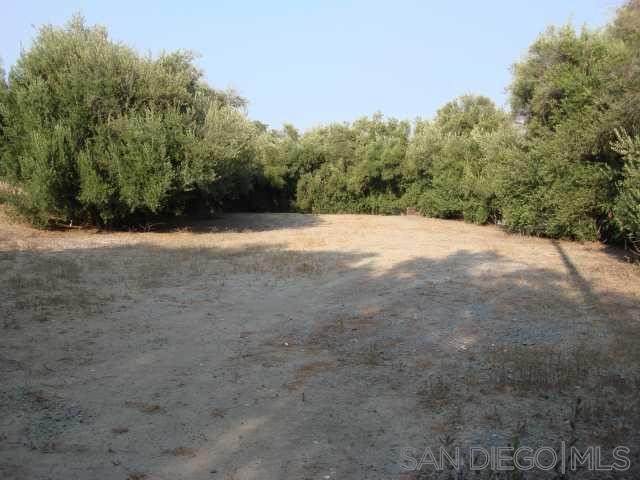1252 Navel Place - Photo 1