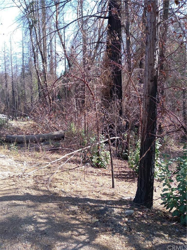 58 Sugar Pine Drive - Photo 1