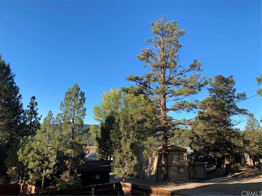 39687 Lake Drive - Photo 1