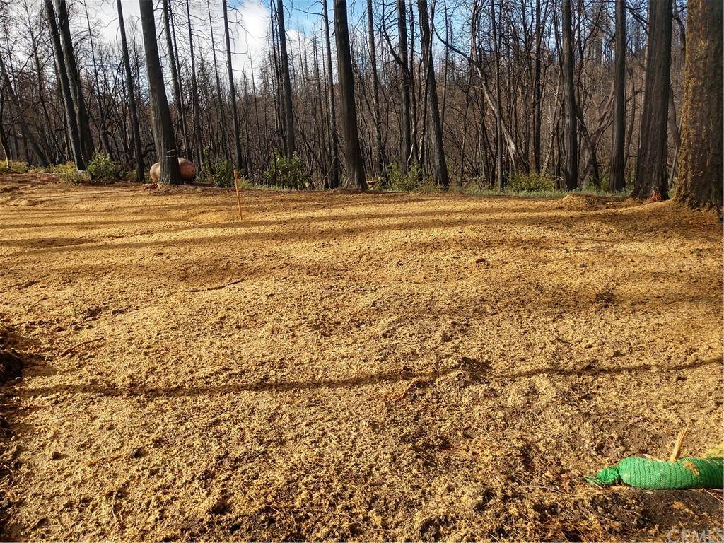 126 Graystone Lane - Photo 1