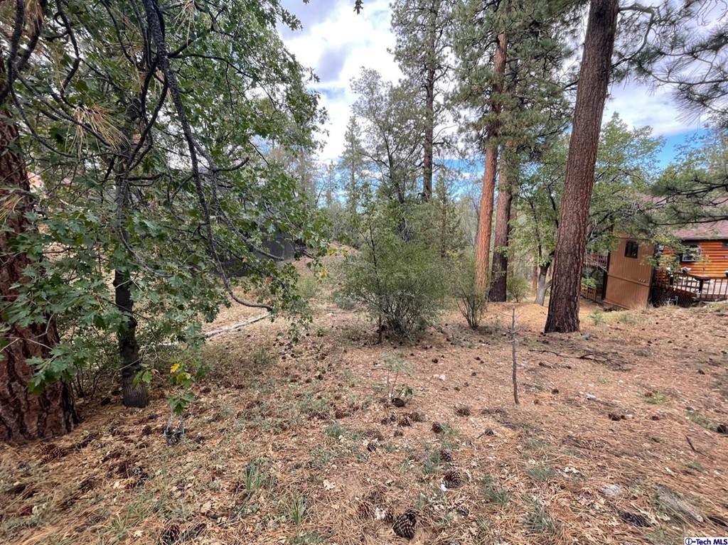 600 Travertine Road - Photo 1