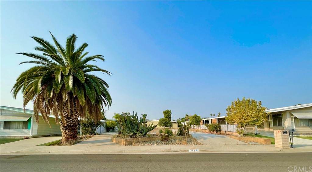 1062 Camino Del Rancho - Photo 1