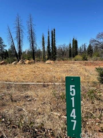 13821 Ferguson Drive - Photo 1