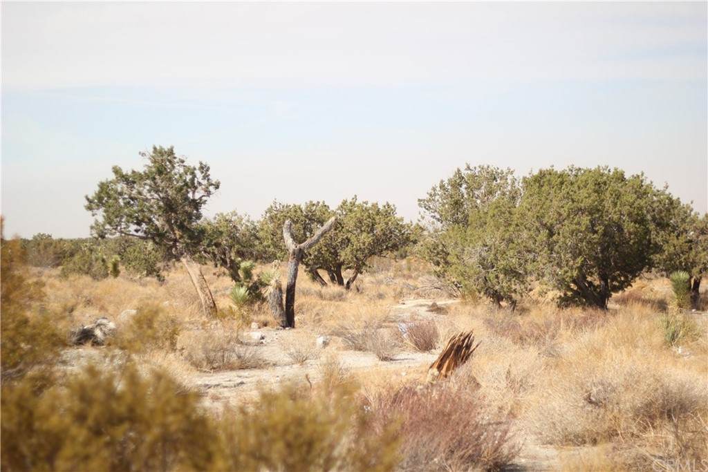 0 Antelope Highway Apn 3064-013-065 - Photo 1