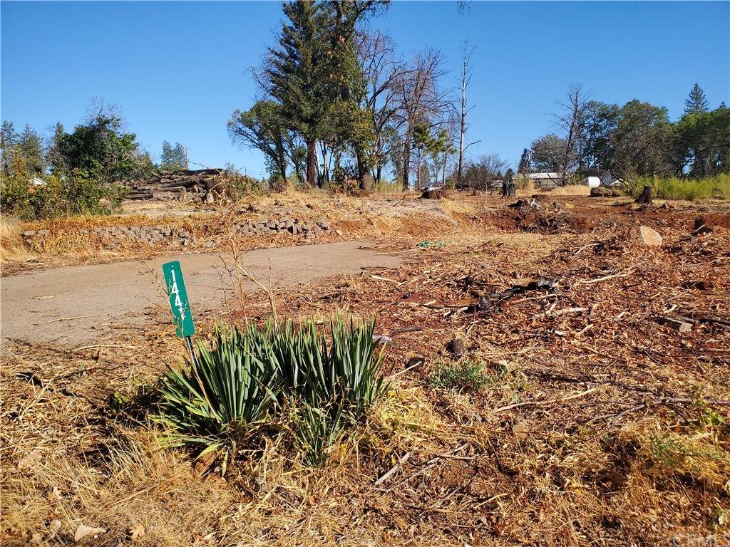 1441 Wolf Lane - Photo 1