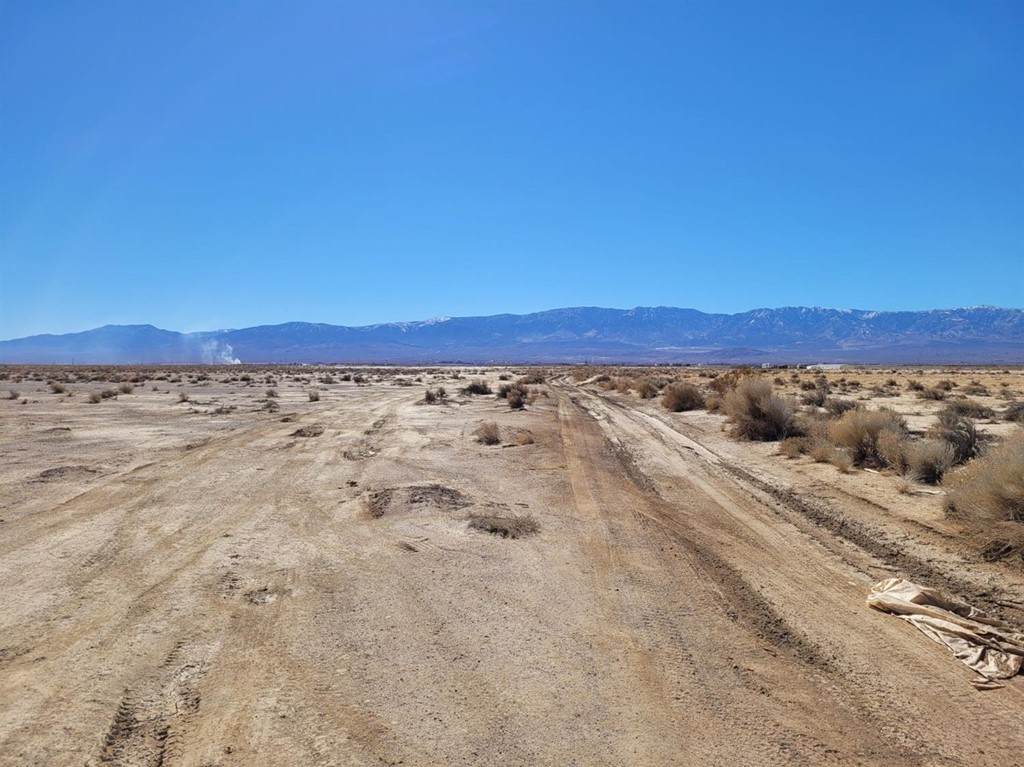 0 Amber Road - Photo 1