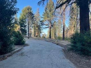 12505 Alba Road - Photo 1