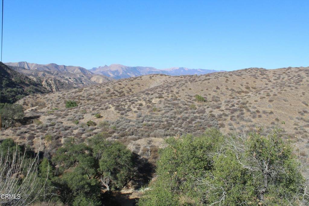 31029 Hasley Canyon Road - Photo 1