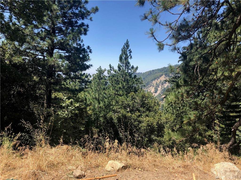 0 Fern Canyon Road - Photo 1