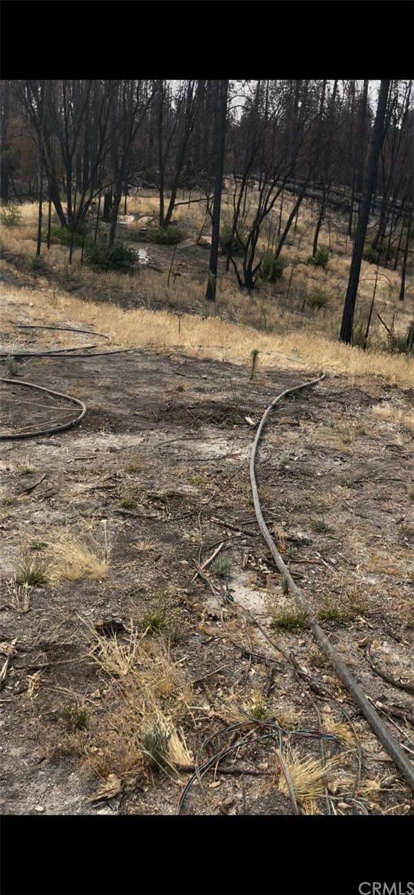 0 Craig Access Road - Photo 1