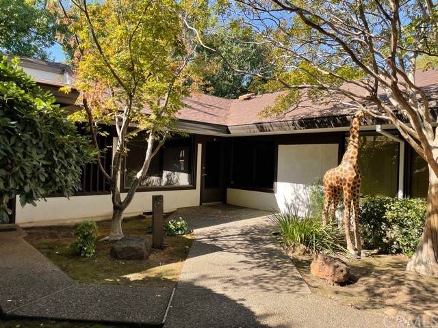 650 Rio Lindo - Photo 1