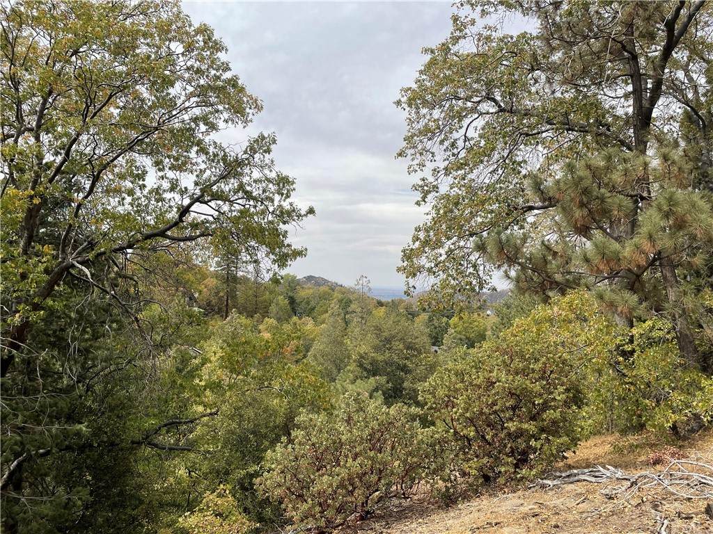 1300 Evergreen Lane - Photo 1