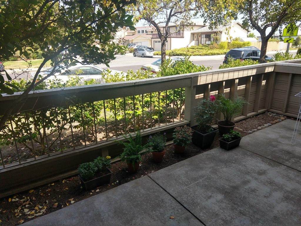 208 Albacore - Photo 1