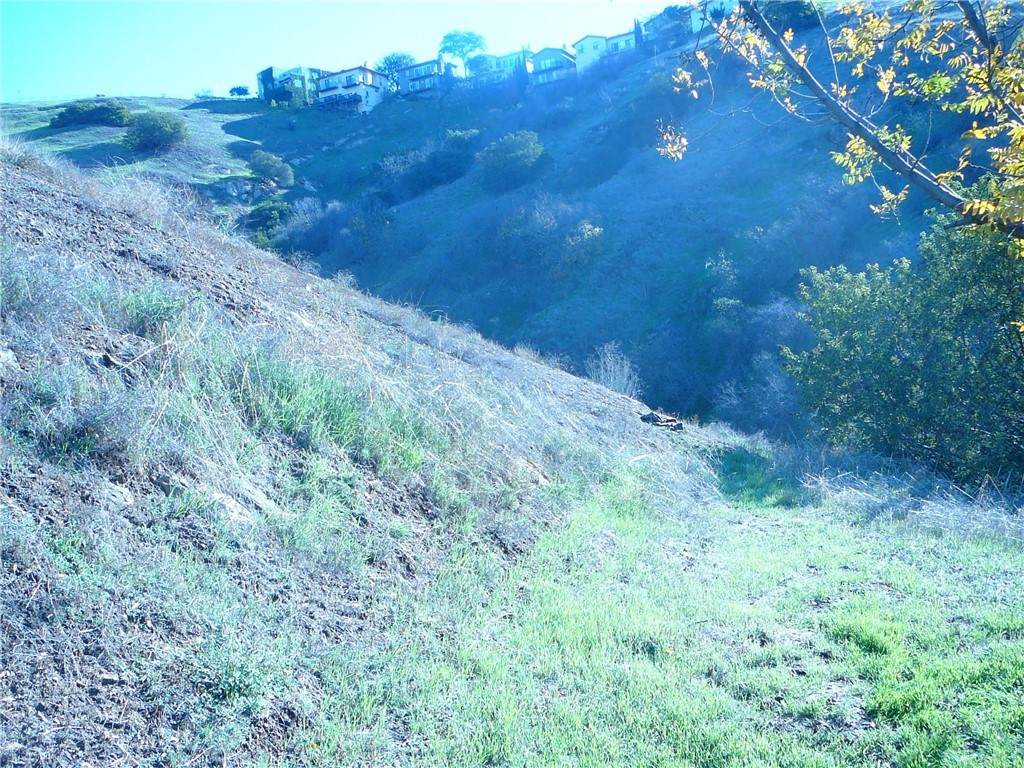 3567 Camino Real - Photo 1