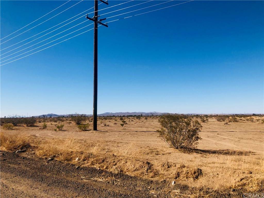 0 Yucca - Photo 1