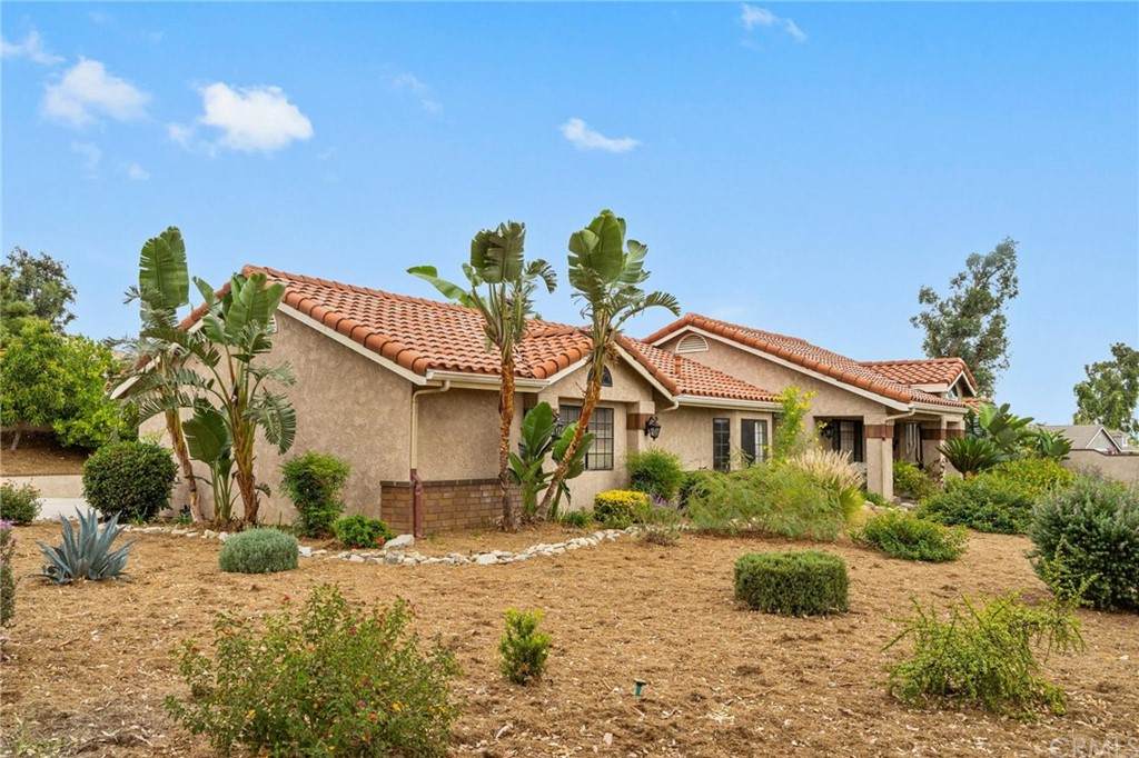 6239 Blue Gum Ct - Photo 1