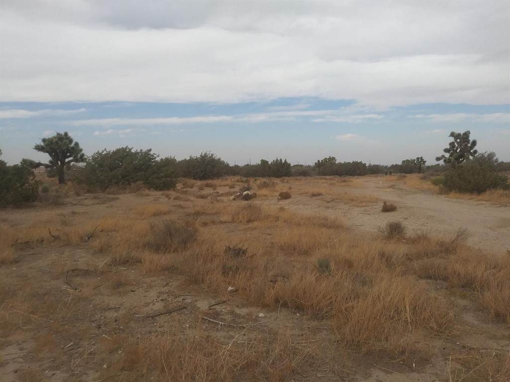 0 Elsinore Road - Photo 1