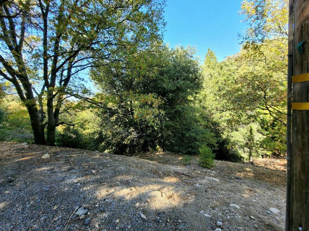 0 Edelweiss Drive - Photo 1
