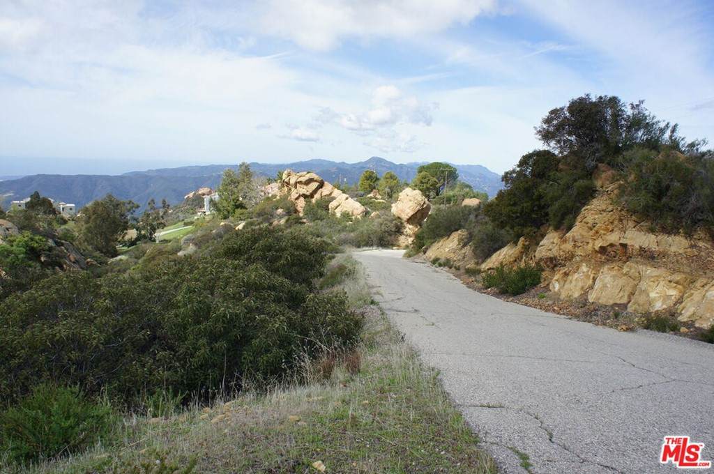 0 Saddle Peak Road - Photo 1