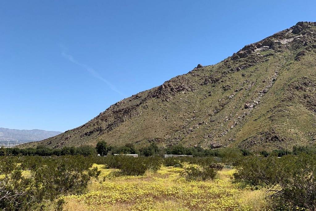 16 Lazy C Ranch Road - Photo 1