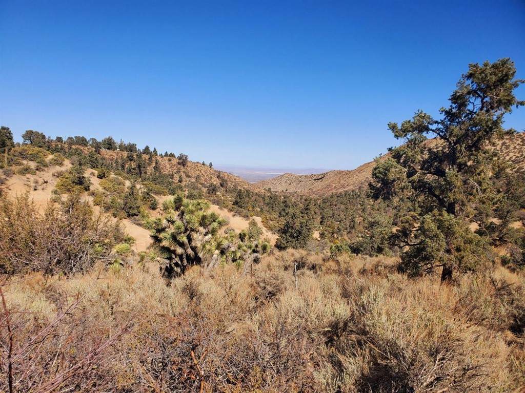 0 Old Valley Springs Road - Photo 1