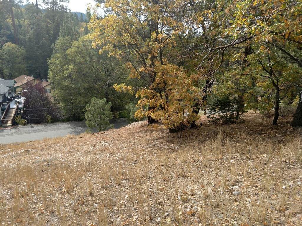 43378 Bow Canyon Road - Photo 1