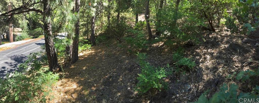 0 Mountain Home Creek Road - Photo 1
