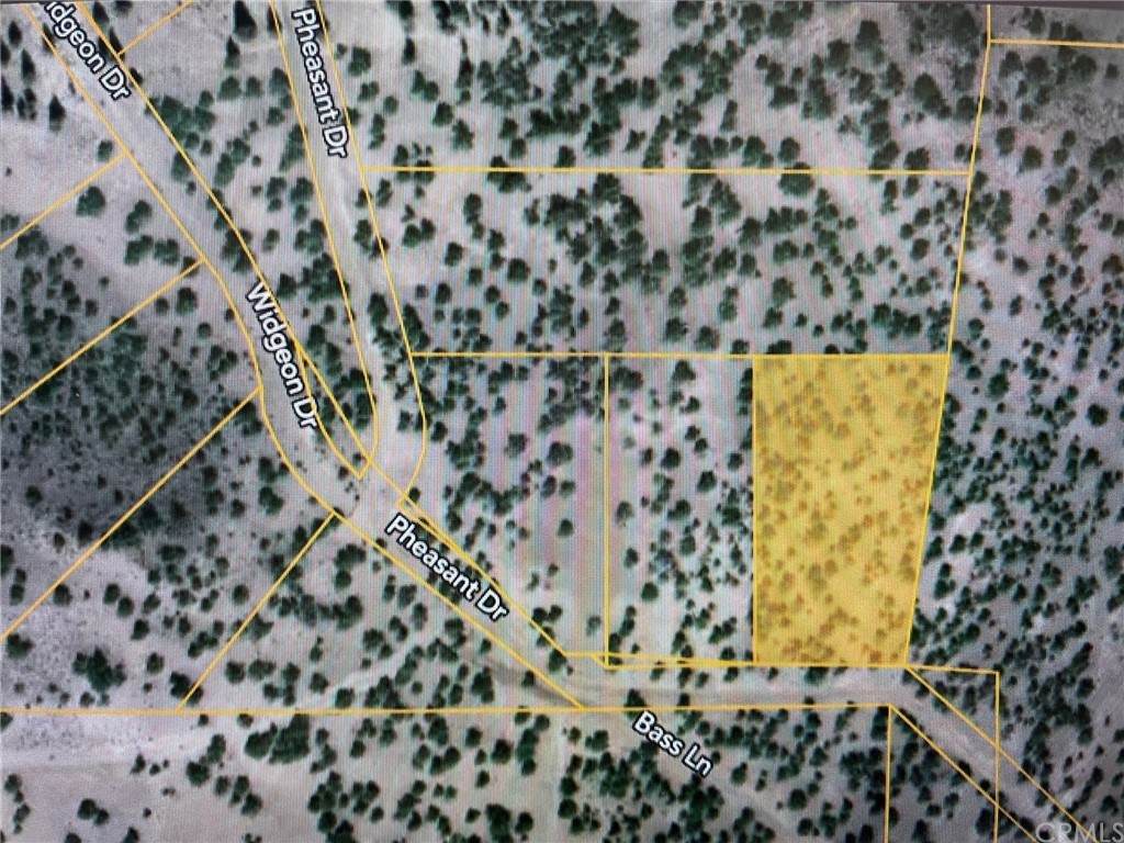 0 Pheasant Dr - Photo 1