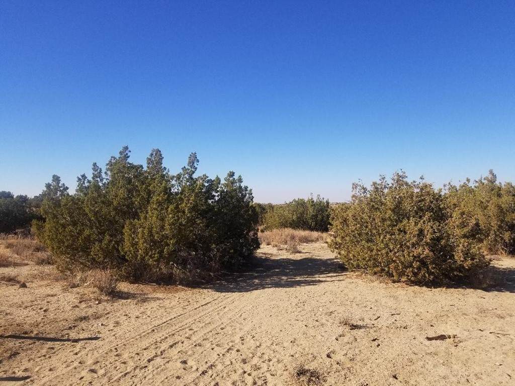 0 125th Avenue - Photo 1