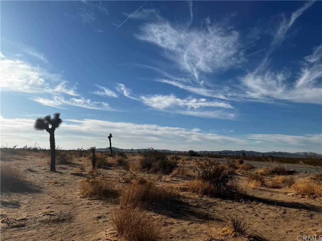 0 El Mirage Road - Photo 1