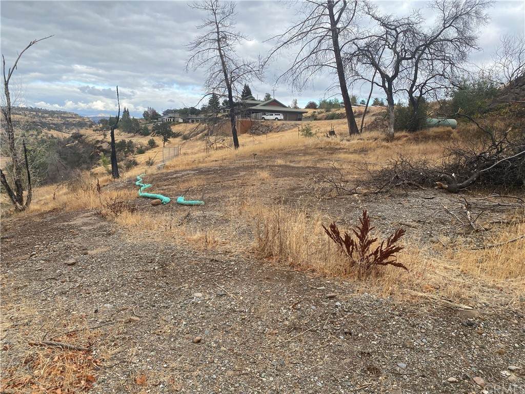 1339 Canyon Rim Place - Photo 1