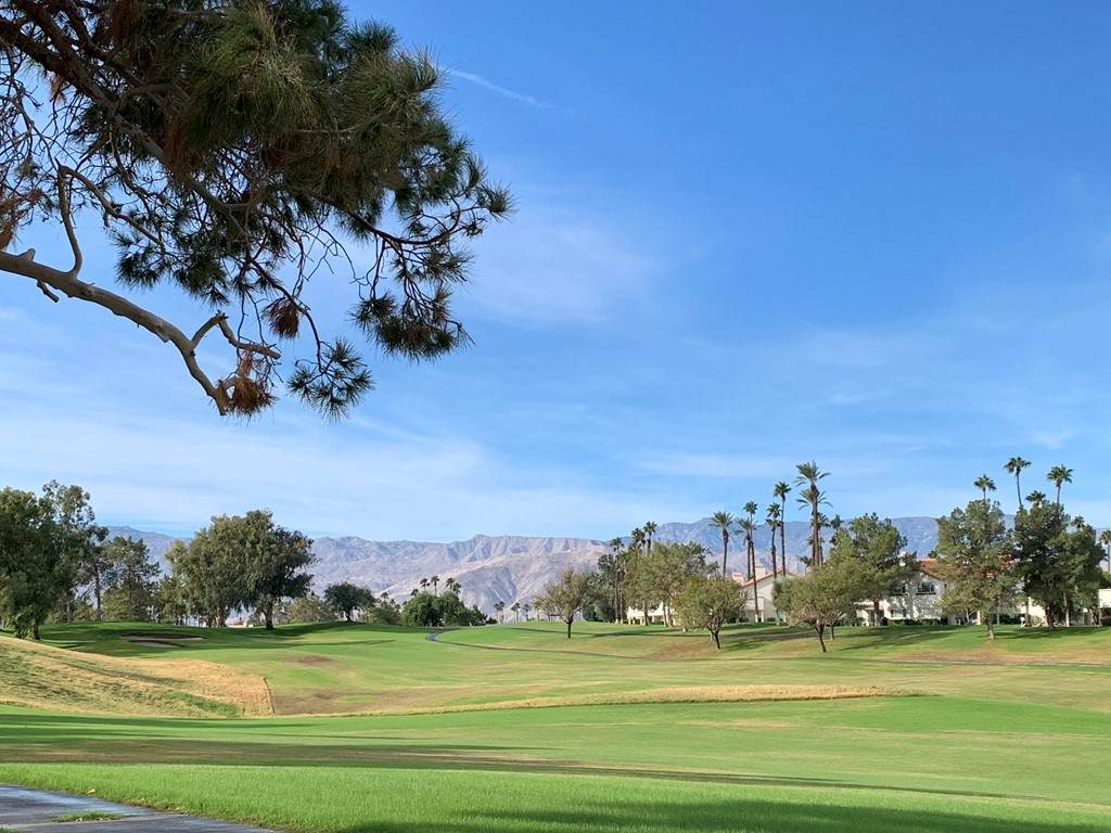 309 Desert Falls Drive - Photo 1