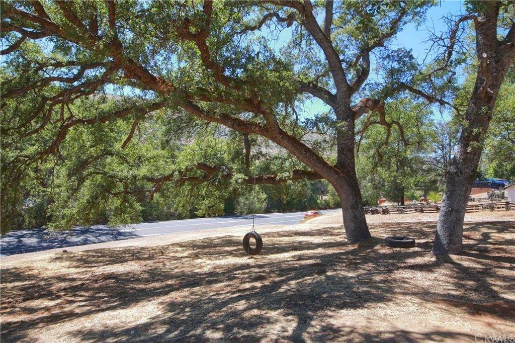 5322 State Highway 49 - Photo 1