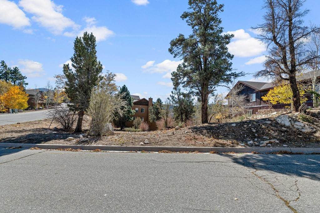 42565 Pegasus Way - Photo 1