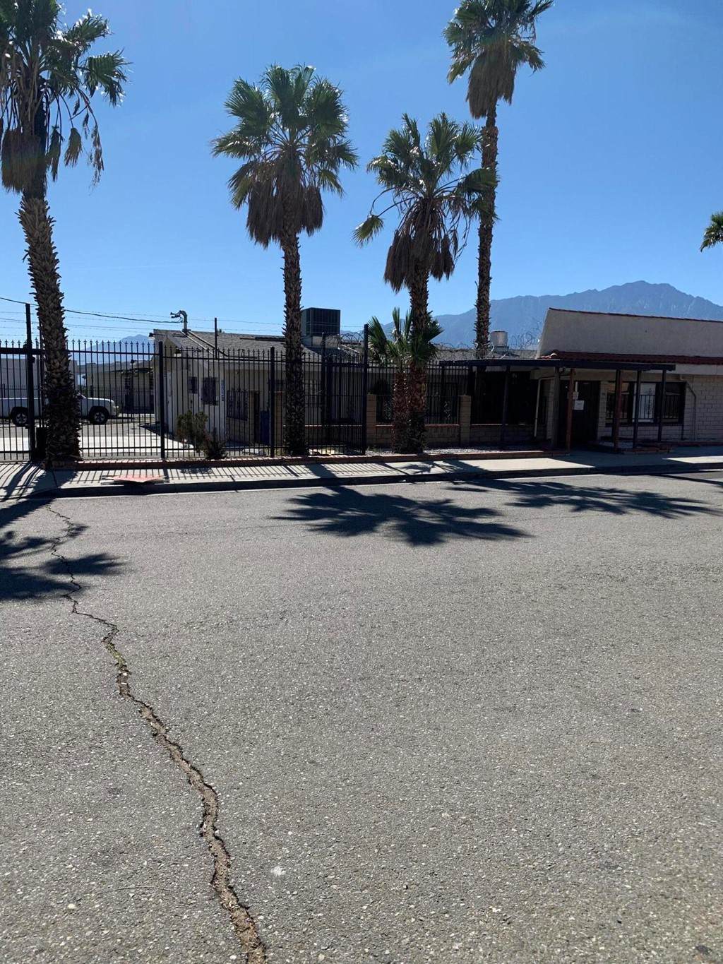 12260 Palm Drive - Photo 1