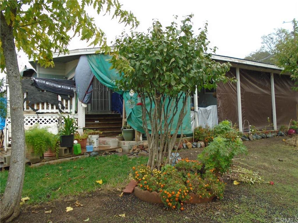 3967 Cedar Avenue - Photo 1